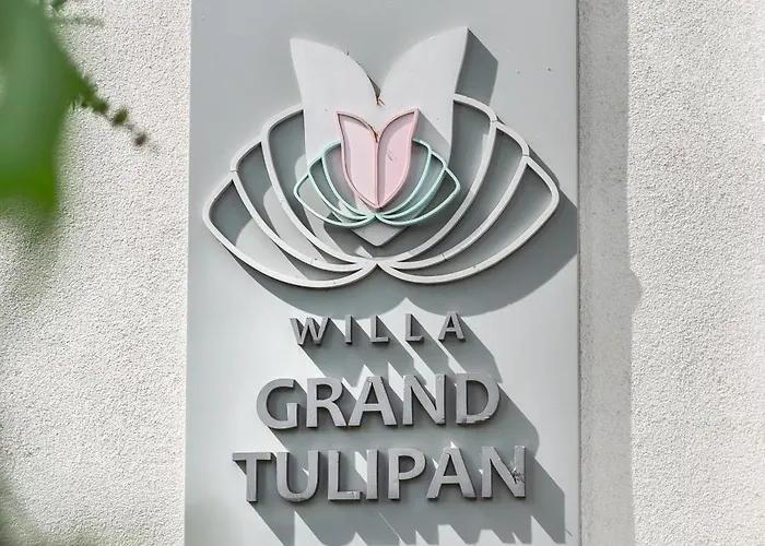Bed & Breakfast Grand Tulipan *
